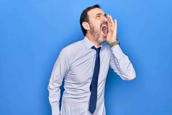 Middelbare Leeftijd Knappe Zakenman Dragen Elegante Stropdas Staan Geïsoleerde Blauwe — Stockfoto