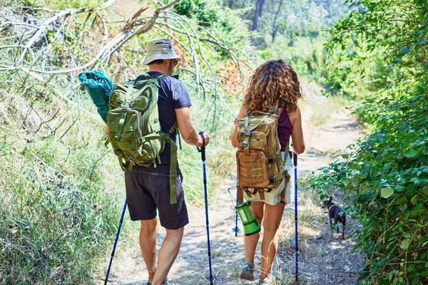 一对年轻貌美的背影远足者背着背包在森林里用手杖徒步旅行 — 图库照片