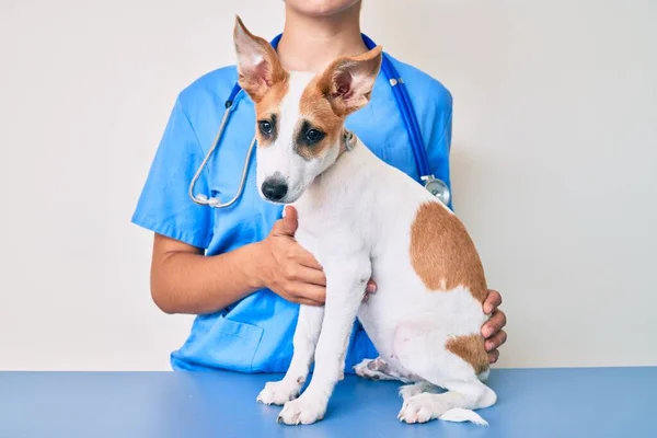 Giovane Cucciolo Veterinario Andando Controllo Sanitario Cane Esaminatore Professionista Utilizzando — Foto Stock