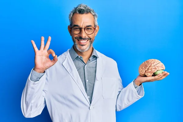 Middle Age Grey Haired Man Wearing Doctor Coat Holding Brain — 图库照片