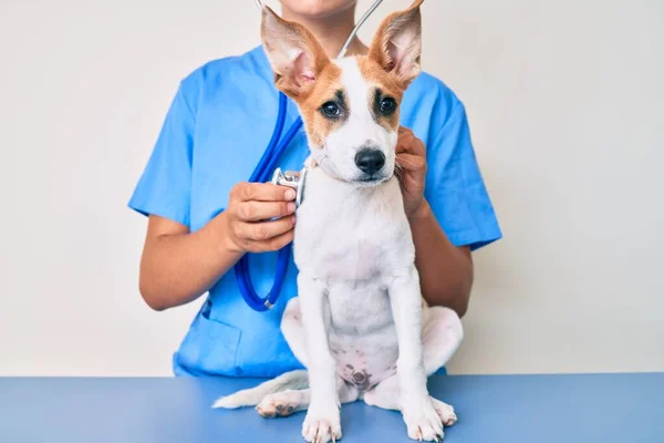 Joven Cachorro Veterinario Chequeo Salud Perro Examinador Profesional Usando Estetoscopio — Foto de Stock