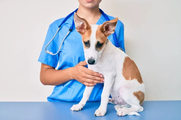 Giovane Cucciolo Veterinario Andando Controllo Sanitario Cane Esaminatore Professionista Utilizzando — Foto Stock