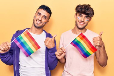 Genç eşcinsel çift ellerinde gökkuşağı lgbtq bayrakları, gülümseyen mutlu ve pozitif, başparmak yukarı mükemmel ve onay işareti ile 