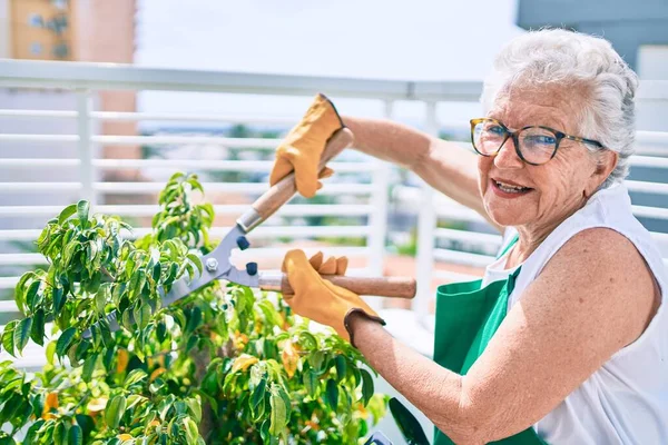 Senior Vrouw Met Grijs Haar Dragen Handschoenen Tuinman Schort Tuinieren — Stockfoto