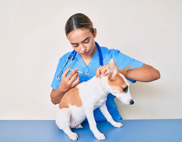 Giovane Bella Donna Veterinaria Bionda Mettendo Vaccino Cucciolo Cane Rilassato — Foto Stock