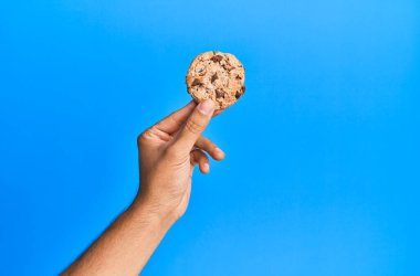 Mavi arka planda çikolata parçalı kurabiye tutan el.