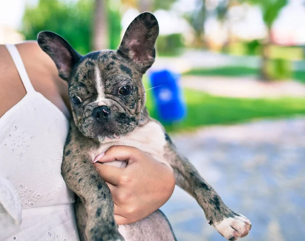 Propietaria Femenina Sosteniendo Hermoso Cachorro Manchado Bulldog Francés Feliz Parque —  Fotos de Stock