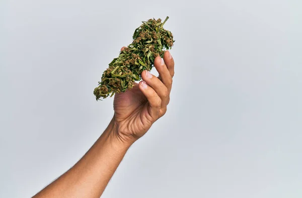 Hand Van Een Spaanse Man Met Marihuana Knop Cannabis Een — Stockfoto