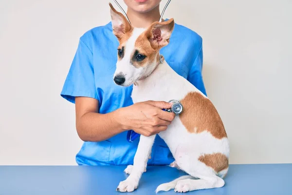 若いです子犬でザ獣医師行き健康診断 プロの検査犬を使用して聴診器 — ストック写真