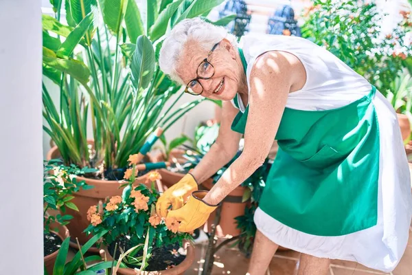 Senior Vrouw Met Grijs Haar Dragen Handschoenen Tuinman Schort Tuinieren — Stockfoto