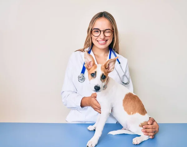 Giovane Bella Donna Veterinaria Bionda Controllo Salute Cane Ammiccando Guardando — Foto Stock