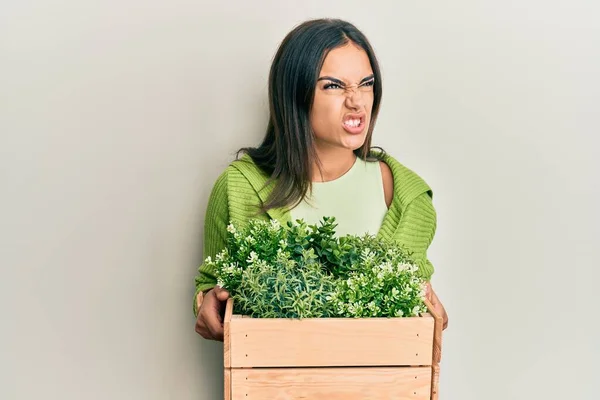 Young Brunette Woman Holding Wooden Plant Pot Angry Mad Screaming — Stock Photo, Image