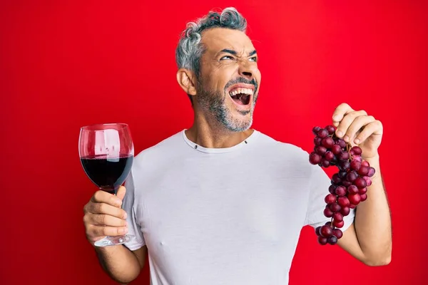Grauhaariger Mann Mittleren Alters Mit Zweigen Frischer Trauben Und Rotwein — Stockfoto