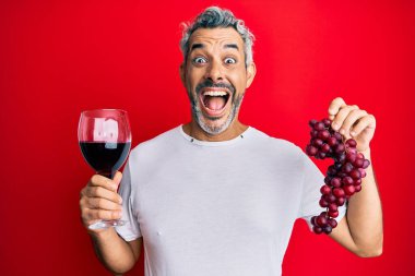 Orta yaşlı, kır saçlı, elinde taze üzüm dalları ve kırmızı şarapla çılgın ve başarıyı kutlayan bir adam.. 