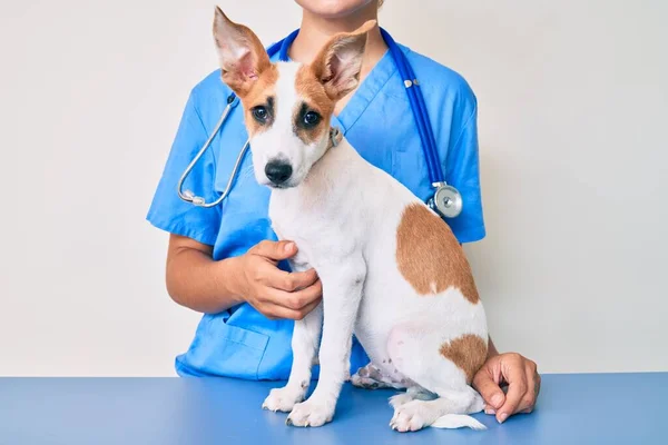 Joven Cachorro Veterinario Chequeo Salud Perro Examinador Profesional Usando Estetoscopio — Foto de Stock