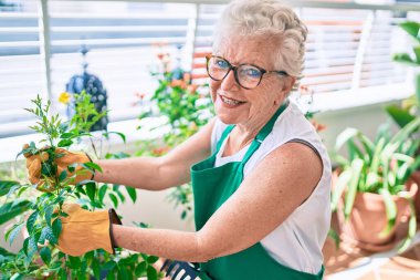 Gri saçlı, eldivenli ve bahçıvan önlüklü yaşlı kadın evdeki bitkileri bahçeliyor.