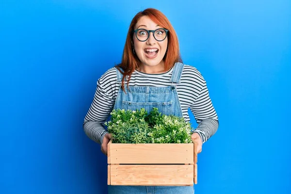 Mooie Roodharige Vrouw Met Houten Plant Pot Vieren Gek Verbaasd — Stockfoto