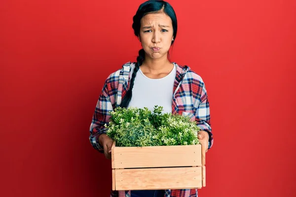 Beautiful Hispanic Woman Holding Wooden Plant Pot Puffing Cheeks Funny — Stock Photo, Image