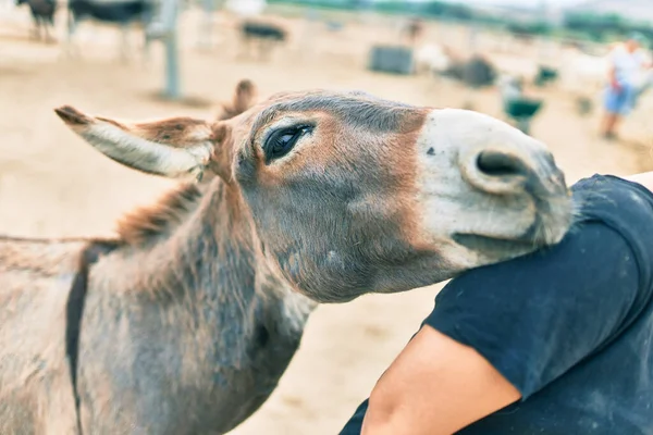 Mujer Hispana Jugando Con Burro Granja — Foto de Stock