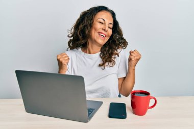 Ofiste çalışan orta yaşlı güzel bir kadın bilgisayarını kullanarak çok mutlu ve heyecanlı bir şekilde kollarını kaldırarak, gülümseyerek ve başarı için çığlık atarak kazanan bir jest yapıyor. kutlama konsepti. 