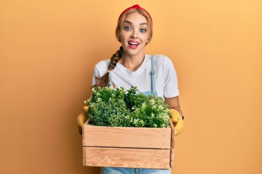 Güzel, sarışın, beyaz bir kadın elinde ahşap bir saksı tutuyor. Çılgınca kutlama yapıyor ve başarıyı hayretle izliyor.. 