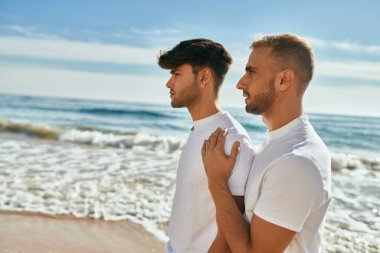 Ciddi ifadeleri olan genç eşcinsel bir çift sahile bakıyor..