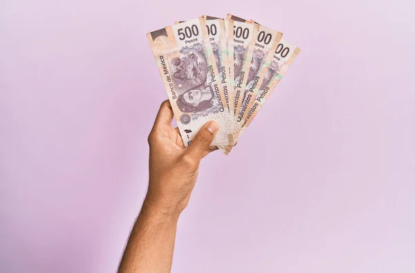 西班牙手拿着500枚墨西哥比索钞票 上面有孤立的粉色背景 — 图库照片