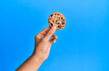 Mavi arka planı olan çikolata parçalı kurabiyeler..