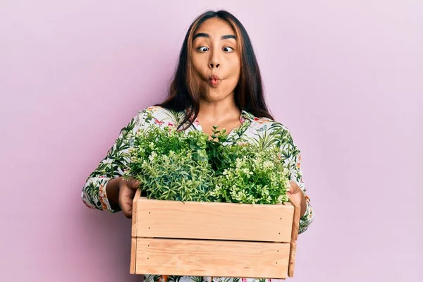 Jovem Mulher Latina Segurando Panela Madeira Planta Fazendo Cara Peixe — Fotografia de Stock