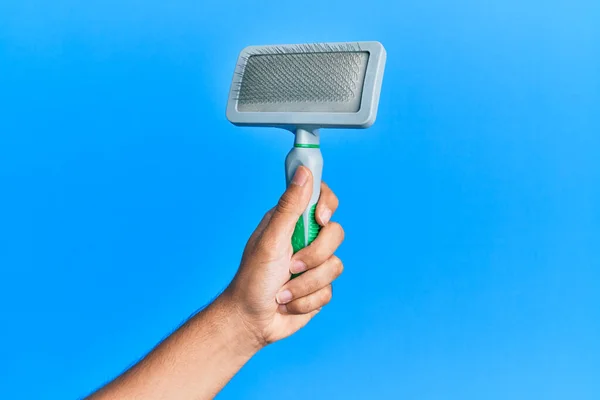 Mano Del Hombre Hispano Sosteniendo Cepillo Mascotas Sobre Fondo Azul — Foto de Stock