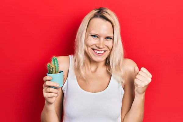 Hermosa Mujer Rubia Caucásica Sosteniendo Pequeña Olla Cactus Gritando Orgulloso —  Fotos de Stock