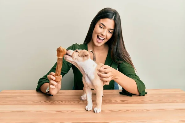 Genç Spanyol Kız Mutlu Gülümsüyor Köpekle Oynuyor Izole Beyaz Arka — Stok fotoğraf