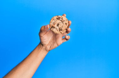 Mavi arka planda çikolata parçacıklı kurabiyeler.