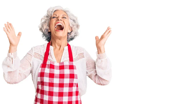 Senior Grey Haired Woman Wearing Apron Celebrating Mad Crazy Success — Stock Photo, Image