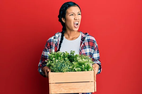 Beautiful Hispanic Woman Holding Wooden Plant Pot Angry Mad Screaming — Stock Photo, Image