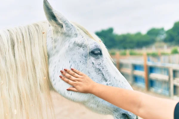 Mão Mulher Tocando Cavalo Adorável Fazenda — Fotografia de Stock