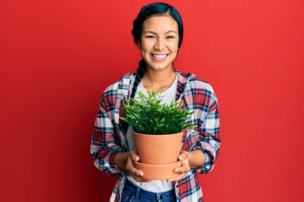 Beautiful Hispanic Woman Wearing Gardener Shirt Holding Plant Pot Smiling — Stock Photo, Image