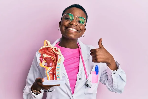 Genç Afro Amerikan Doktor Kadın Elinde Solunum Sisteminin Anatomik Modelini — Stok fotoğraf