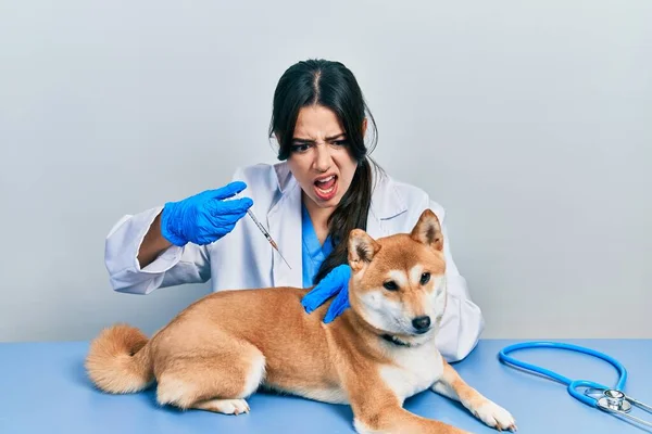 Bella Donna Veterinaria Ispanica Mettendo Vaccino Cucciolo Cane Arrabbiato Pazzo — Foto Stock