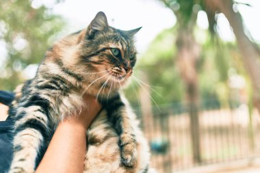 Parkta sevimli kediyi tutan bir kadın..