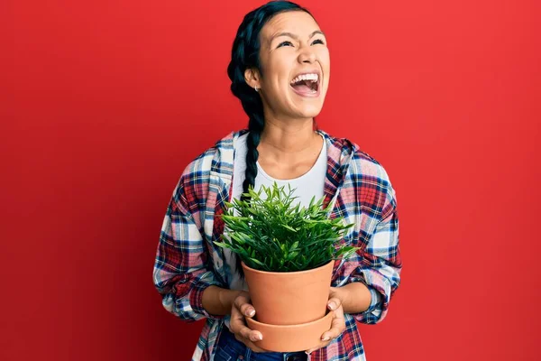 Vacker Latinamerikansk Kvinna Bär Trädgårdsmästare Skjorta Hålla Växt Kruka Arg — Stockfoto