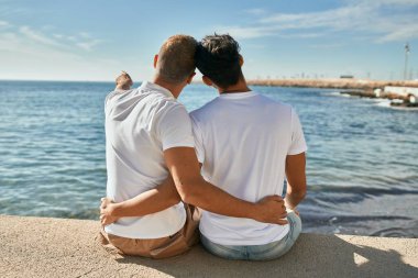 Genç eşcinsel çift ufka bakıyor. Sahilde oturuyor..