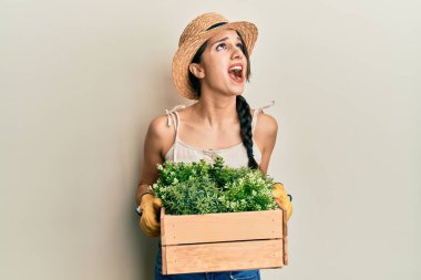 Genç İspanyol kadın elinde yeşil saksı tutuyor kızgın ve kızgın çığlık atıyor sinirli ve öfkeli, öfkeyle bağırıyor.. 