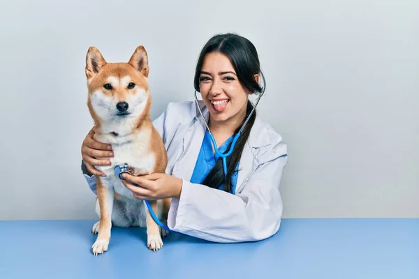 Hermosa Mujer Veterinaria Hispana Revisando Salud Del Perro Sacando Lengua —  Fotos de Stock