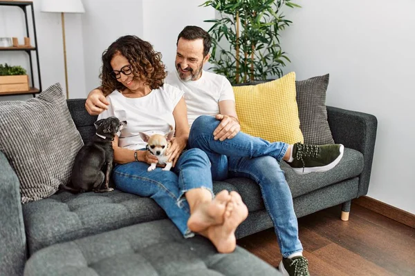 Pareja Hispana Mediana Edad Sonriendo Feliz Sentada Sofá Con Perros —  Fotos de Stock