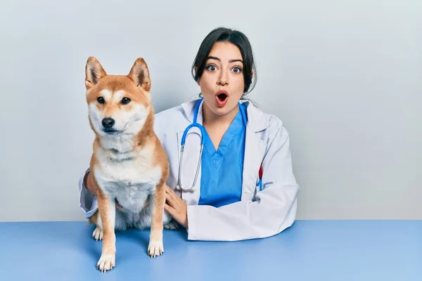 Bela Veterinária Hispânica Mulher Verificando Saúde Cão Assustado Espantado Com — Fotografia de Stock