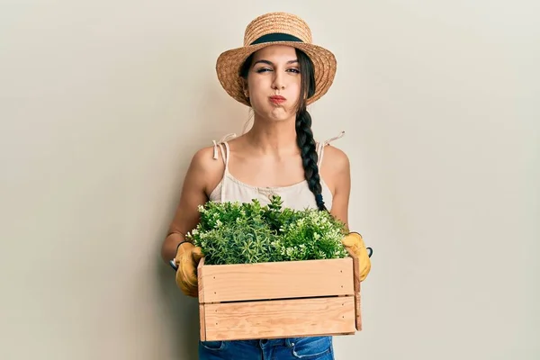 Mulher Hispânica Jovem Segurando Pote Planta Verde Soprando Bochechas Com — Fotografia de Stock