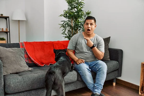 Jovem Latino Homem Cão Sentado Sofá Casa Surpreso Apontando Com — Fotografia de Stock