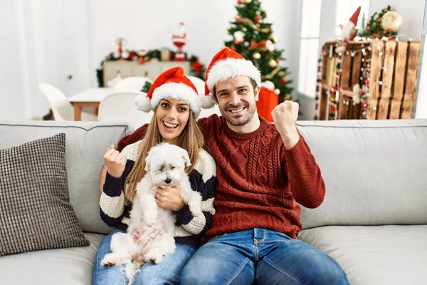 부부와 남편은 크리스마스 모자를 소파에 자랑스럽게 소리지르며 승리와 성공을 축하하며 — 스톡 사진