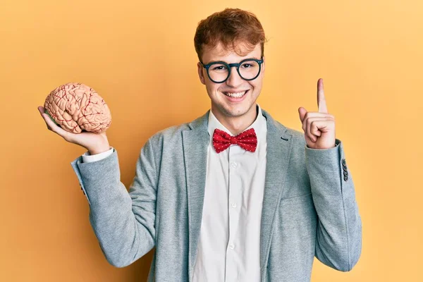 Joven Hombre Caucásico Con Gafas Sosteniendo Cerebro Sonriendo Con Una —  Fotos de Stock